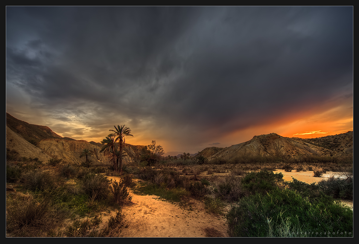 Tabernas1