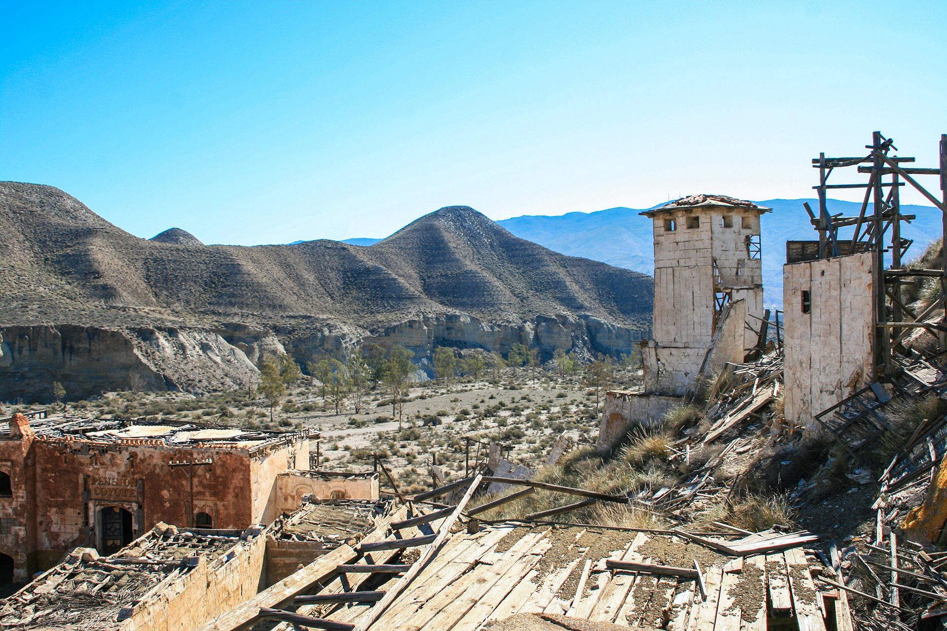 Tabernas condor